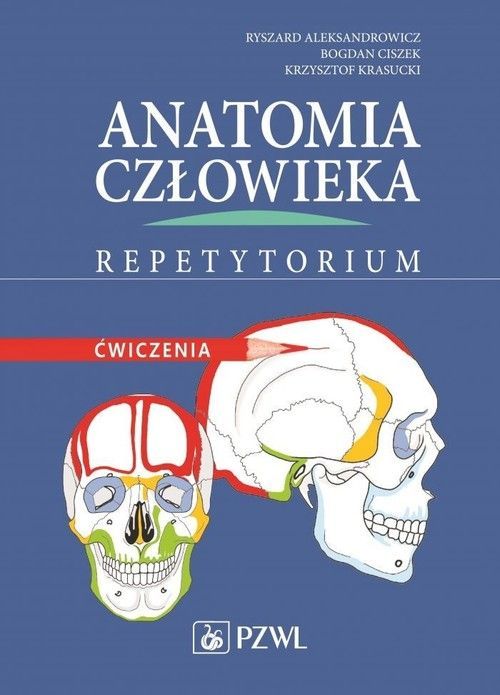 anatomia człowieka